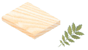Ash Sample and Leaf