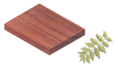 Walnut Sample and Leaf